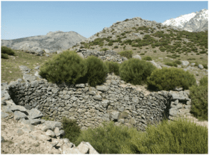 pozos tio puerto