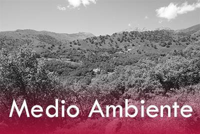 medio ambiente Candeleda y el raso